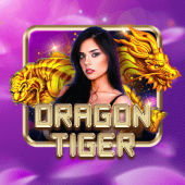 Dragon Tiger at bingo casino slots
