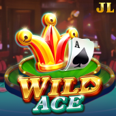 Wild Ace slot at bingo casino slots